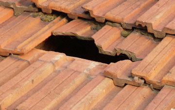 roof repair Horndon, Devon